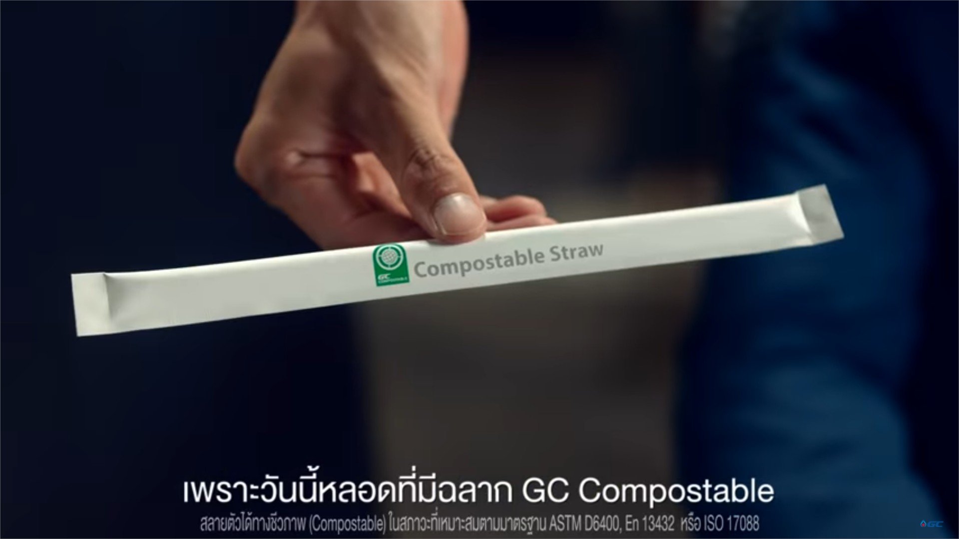 GC Compostable Plastic Straw
