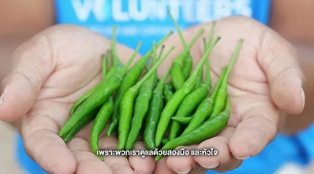 Strong Community EP.8 | สวนผักปันรัก smart farming by GC